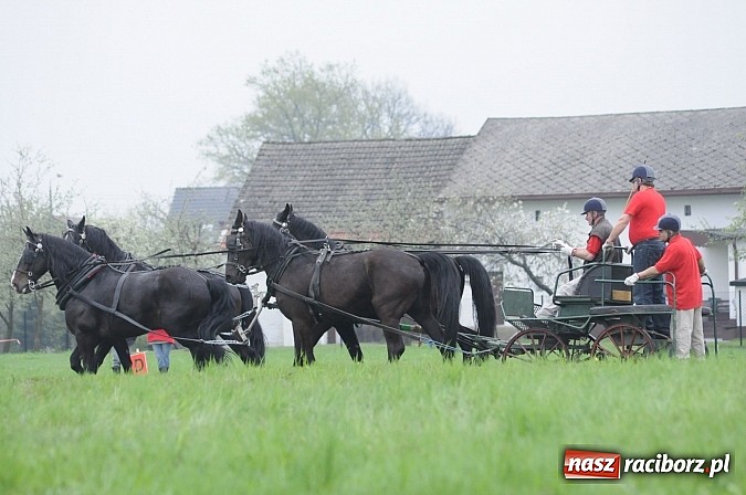 Zdjęcie w galerii na portalu naszraciborz.pl: W Nędzy odbyły się I Amatorskie Zawody Zaprzęgowe wiadomości z regionu