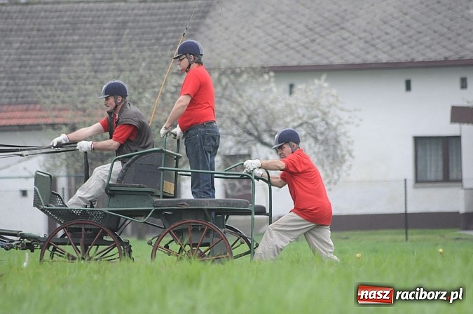 Zdjęcie w galerii na portalu naszraciborz.pl: W Nędzy odbyły się I Amatorskie Zawody Zaprzęgowe wiadomości z regionu