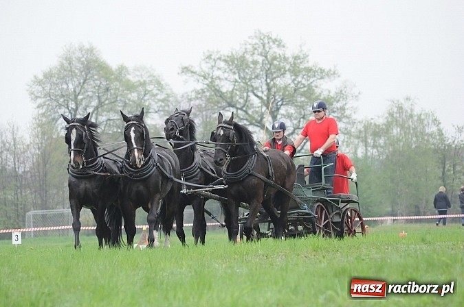Zdjęcie w galerii na portalu naszraciborz.pl: W Nędzy odbyły się I Amatorskie Zawody Zaprzęgowe wiadomości z regionu