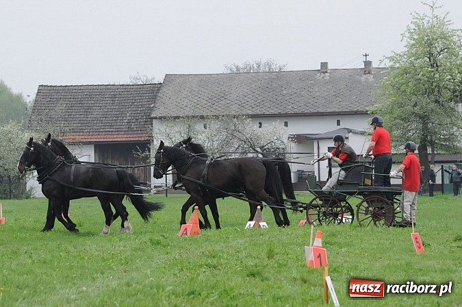 Zdjęcie w galerii na portalu naszraciborz.pl: W Nędzy odbyły się I Amatorskie Zawody Zaprzęgowe wiadomości z regionu