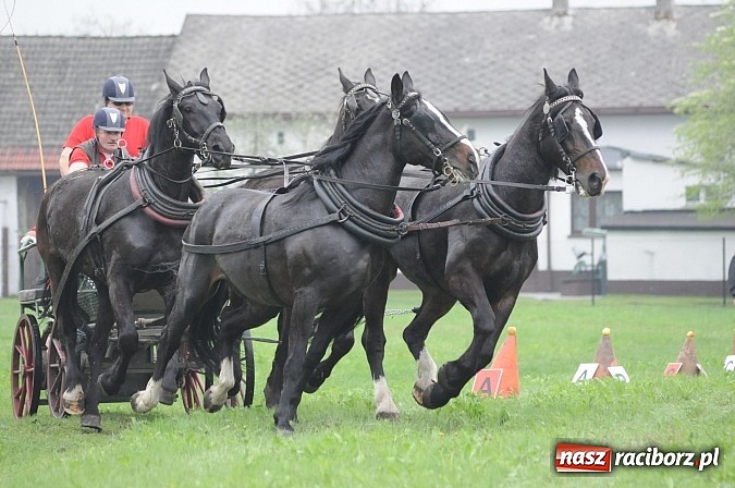 Zdjęcie w galerii na portalu naszraciborz.pl: W Nędzy odbyły się I Amatorskie Zawody Zaprzęgowe wiadomości z regionu