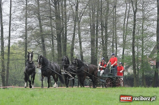Zdjęcie w galerii na portalu naszraciborz.pl: W Nędzy odbyły się I Amatorskie Zawody Zaprzęgowe wiadomości z regionu