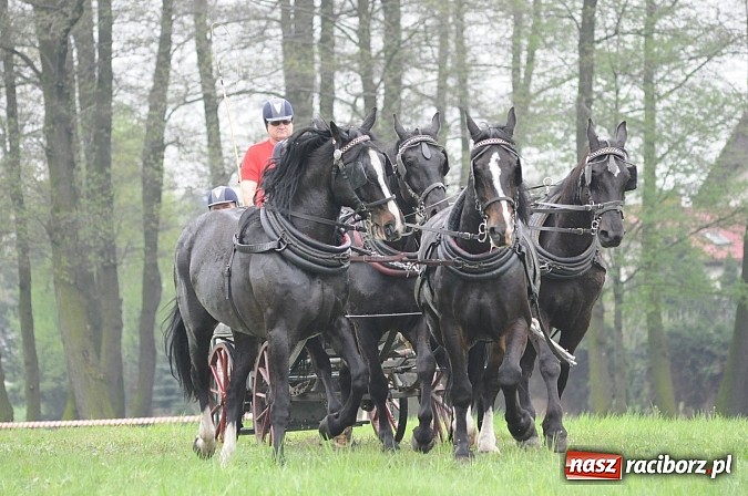 Zdjęcie w galerii na portalu naszraciborz.pl: W Nędzy odbyły się I Amatorskie Zawody Zaprzęgowe wiadomości z regionu