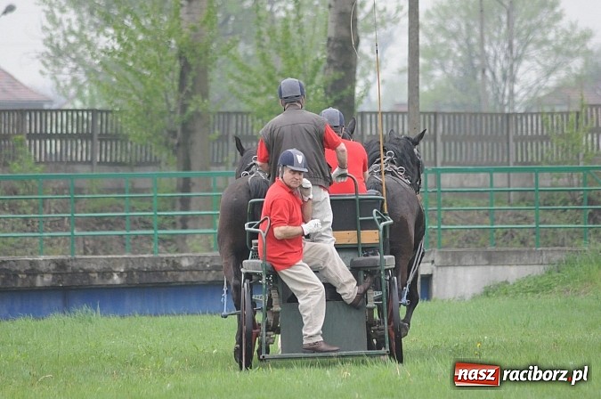 Zdjęcie w galerii na portalu naszraciborz.pl: W Nędzy odbyły się I Amatorskie Zawody Zaprzęgowe wiadomości z regionu