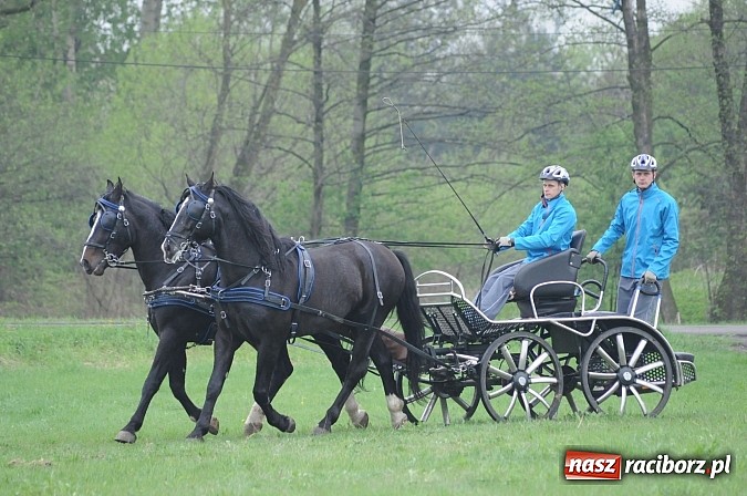 Zdjęcie w galerii na portalu naszraciborz.pl: W Nędzy odbyły się I Amatorskie Zawody Zaprzęgowe wiadomości z regionu