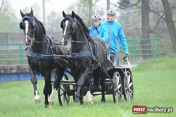 Zdjęcie w galerii na portalu naszraciborz.pl: W Nędzy odbyły się I Amatorskie Zawody Zaprzęgowe wiadomości z regionu