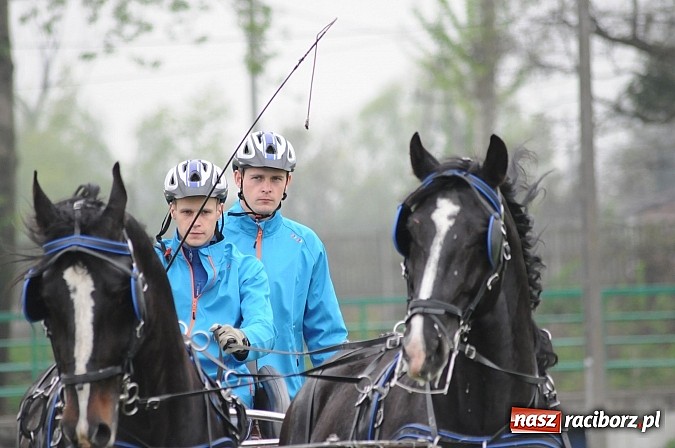Zdjęcie w galerii na portalu naszraciborz.pl: W Nędzy odbyły się I Amatorskie Zawody Zaprzęgowe wiadomości z regionu