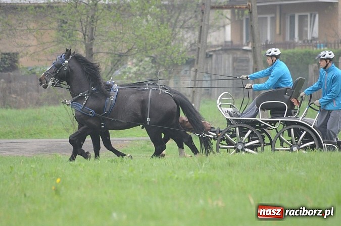 Zdjęcie w galerii na portalu naszraciborz.pl: W Nędzy odbyły się I Amatorskie Zawody Zaprzęgowe wiadomości z regionu