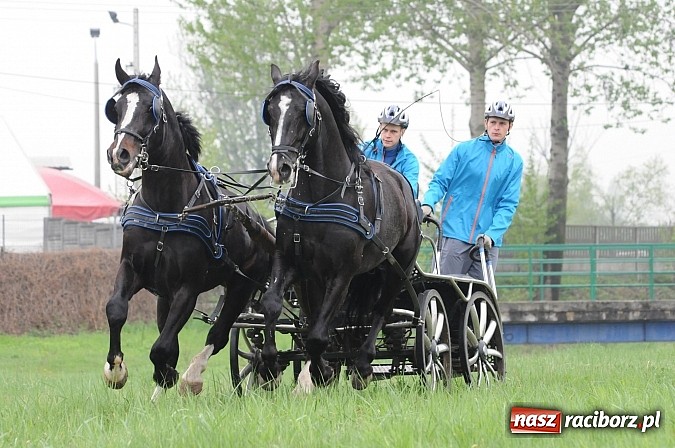 Zdjęcie w galerii na portalu naszraciborz.pl: W Nędzy odbyły się I Amatorskie Zawody Zaprzęgowe wiadomości z regionu