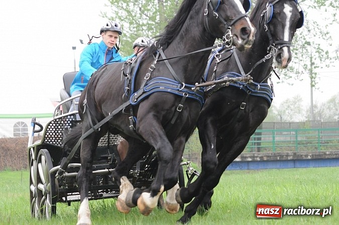 Zdjęcie w galerii na portalu naszraciborz.pl: W Nędzy odbyły się I Amatorskie Zawody Zaprzęgowe wiadomości z regionu