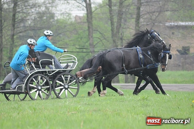 Zdjęcie w galerii na portalu naszraciborz.pl: W Nędzy odbyły się I Amatorskie Zawody Zaprzęgowe wiadomości z regionu