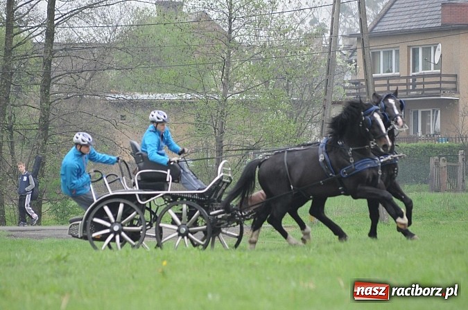 Zdjęcie w galerii na portalu naszraciborz.pl: W Nędzy odbyły się I Amatorskie Zawody Zaprzęgowe wiadomości z regionu
