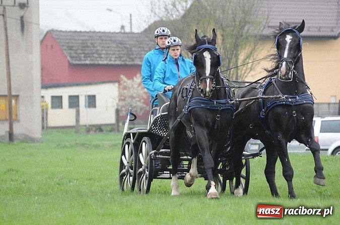 Zdjęcie w galerii na portalu naszraciborz.pl: W Nędzy odbyły się I Amatorskie Zawody Zaprzęgowe wiadomości z regionu