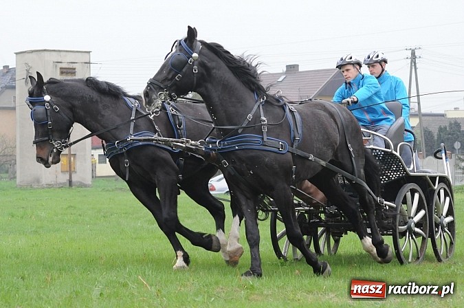 Zdjęcie w galerii na portalu naszraciborz.pl: W Nędzy odbyły się I Amatorskie Zawody Zaprzęgowe wiadomości z regionu