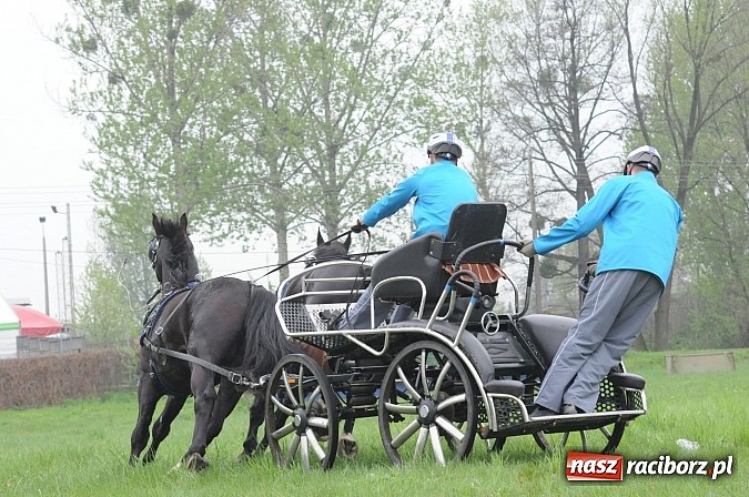 Zdjęcie w galerii na portalu naszraciborz.pl: W Nędzy odbyły się I Amatorskie Zawody Zaprzęgowe wiadomości z regionu