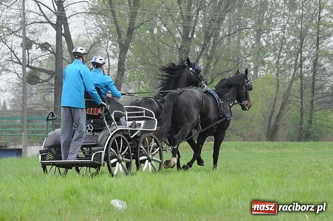 Zdjęcie w galerii na portalu naszraciborz.pl: W Nędzy odbyły się I Amatorskie Zawody Zaprzęgowe wiadomości z regionu