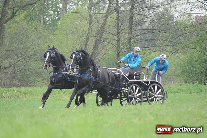 Zdjęcie w galerii na portalu naszraciborz.pl: W Nędzy odbyły się I Amatorskie Zawody Zaprzęgowe wiadomości z regionu