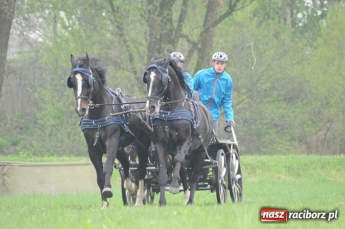 Zdjęcie w galerii na portalu naszraciborz.pl: W Nędzy odbyły się I Amatorskie Zawody Zaprzęgowe wiadomości z regionu