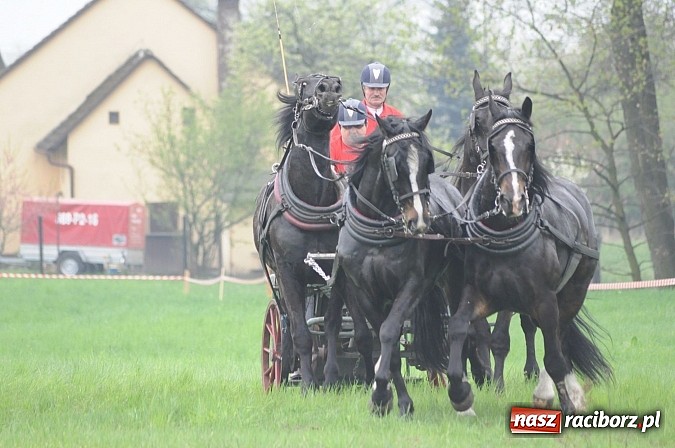 Zdjęcie w galerii na portalu naszraciborz.pl: W Nędzy odbyły się I Amatorskie Zawody Zaprzęgowe wiadomości z regionu