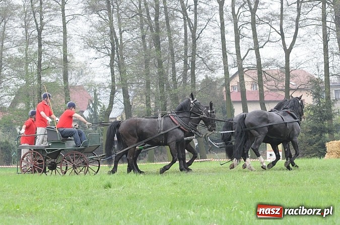 Zdjęcie w galerii na portalu naszraciborz.pl: W Nędzy odbyły się I Amatorskie Zawody Zaprzęgowe wiadomości z regionu