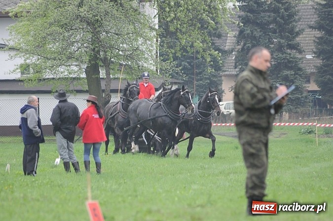Zdjęcie w galerii na portalu naszraciborz.pl: W Nędzy odbyły się I Amatorskie Zawody Zaprzęgowe wiadomości z regionu