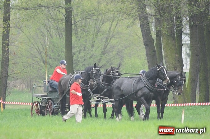 Zdjęcie w galerii na portalu naszraciborz.pl: W Nędzy odbyły się I Amatorskie Zawody Zaprzęgowe wiadomości z regionu