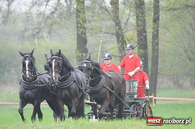Zdjęcie w galerii na portalu naszraciborz.pl: W Nędzy odbyły się I Amatorskie Zawody Zaprzęgowe wiadomości z regionu