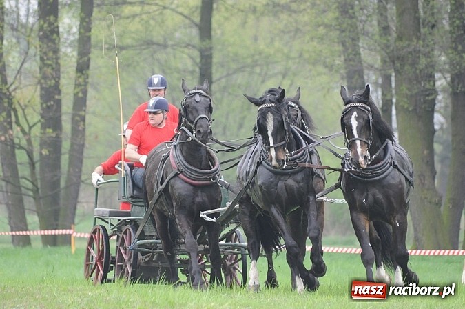 Zdjęcie w galerii na portalu naszraciborz.pl: W Nędzy odbyły się I Amatorskie Zawody Zaprzęgowe wiadomości z regionu