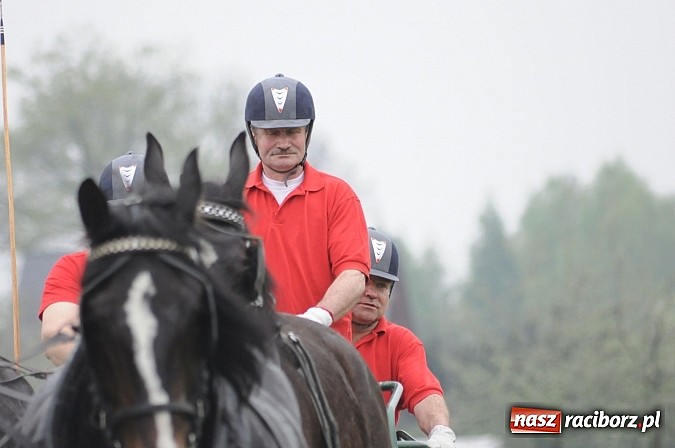 Zdjęcie w galerii na portalu naszraciborz.pl: W Nędzy odbyły się I Amatorskie Zawody Zaprzęgowe wiadomości z regionu
