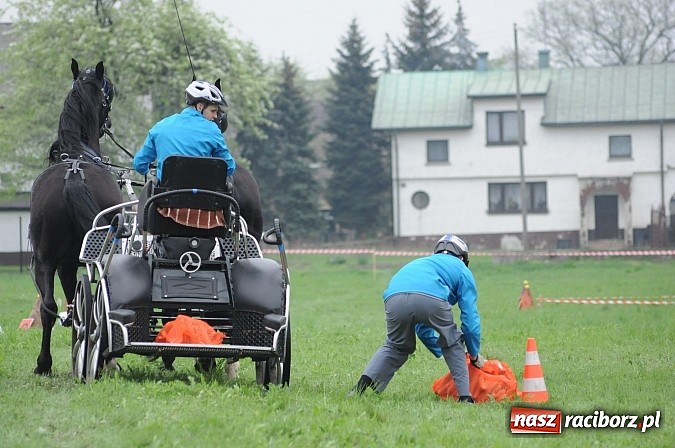 Zdjęcie w galerii na portalu naszraciborz.pl: W Nędzy odbyły się I Amatorskie Zawody Zaprzęgowe wiadomości z regionu