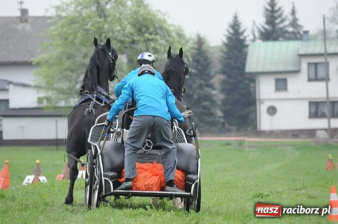 Zdjęcie w galerii na portalu naszraciborz.pl: W Nędzy odbyły się I Amatorskie Zawody Zaprzęgowe wiadomości z regionu