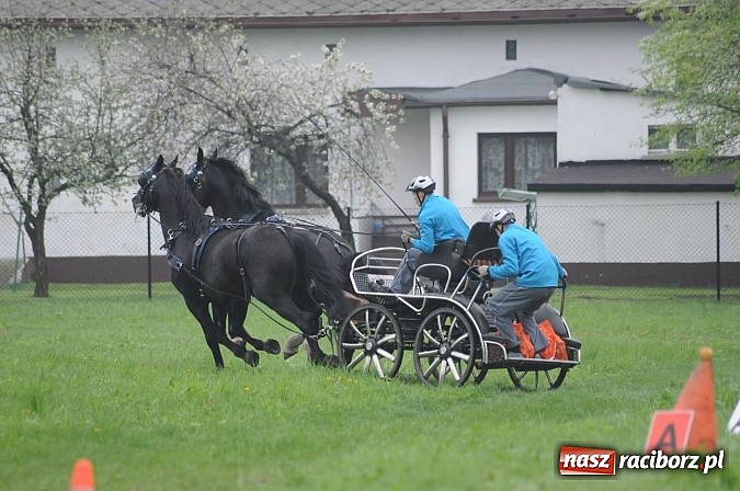 Zdjęcie w galerii na portalu naszraciborz.pl: W Nędzy odbyły się I Amatorskie Zawody Zaprzęgowe wiadomości z regionu