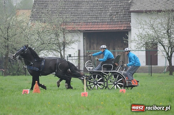 Zdjęcie w galerii na portalu naszraciborz.pl: W Nędzy odbyły się I Amatorskie Zawody Zaprzęgowe wiadomości z regionu