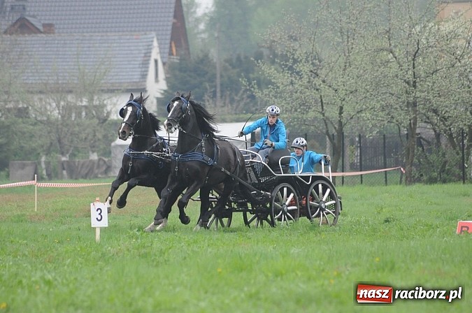 Zdjęcie w galerii na portalu naszraciborz.pl: W Nędzy odbyły się I Amatorskie Zawody Zaprzęgowe wiadomości z regionu