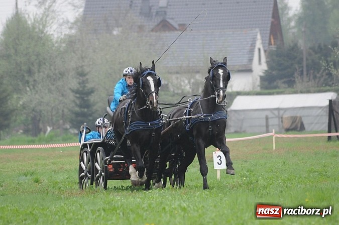Zdjęcie w galerii na portalu naszraciborz.pl: W Nędzy odbyły się I Amatorskie Zawody Zaprzęgowe wiadomości z regionu
