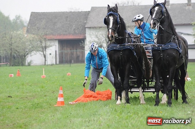 Zdjęcie w galerii na portalu naszraciborz.pl: W Nędzy odbyły się I Amatorskie Zawody Zaprzęgowe wiadomości z regionu