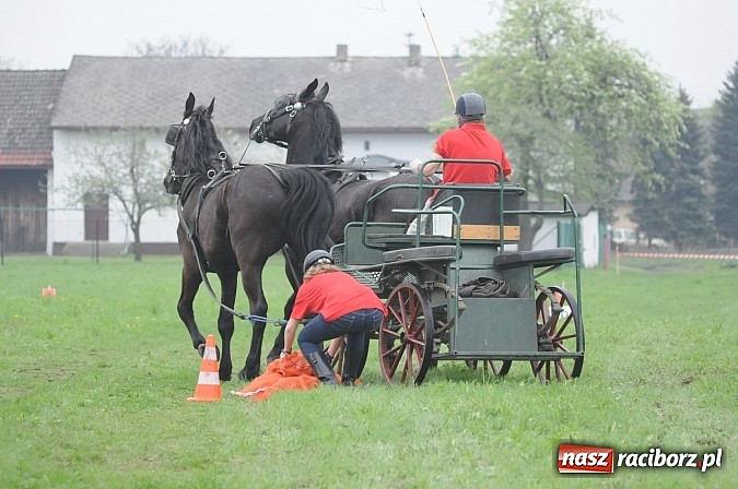 Zdjęcie w galerii na portalu naszraciborz.pl: W Nędzy odbyły się I Amatorskie Zawody Zaprzęgowe wiadomości z regionu