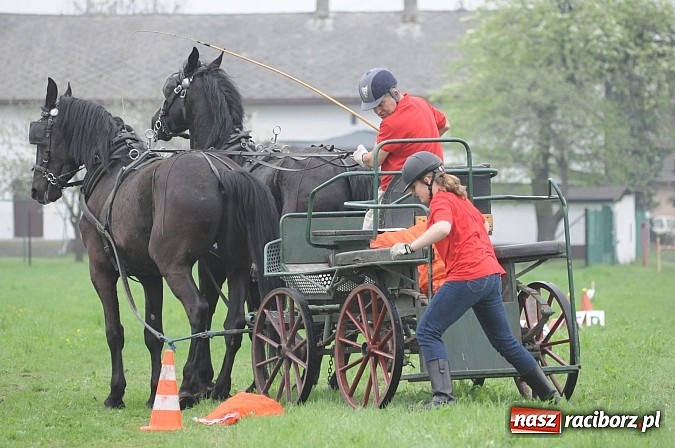 Zdjęcie w galerii na portalu naszraciborz.pl: W Nędzy odbyły się I Amatorskie Zawody Zaprzęgowe wiadomości z regionu