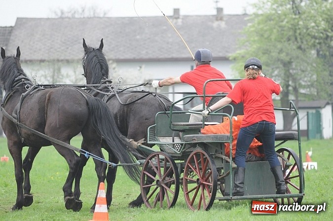 Zdjęcie w galerii na portalu naszraciborz.pl: W Nędzy odbyły się I Amatorskie Zawody Zaprzęgowe wiadomości z regionu