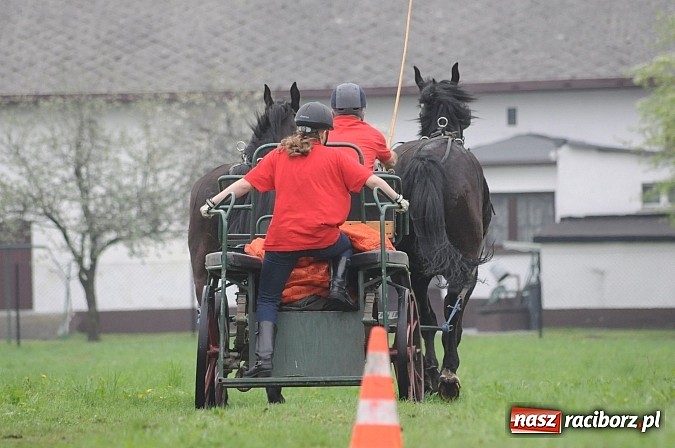 Zdjęcie w galerii na portalu naszraciborz.pl: W Nędzy odbyły się I Amatorskie Zawody Zaprzęgowe wiadomości z regionu