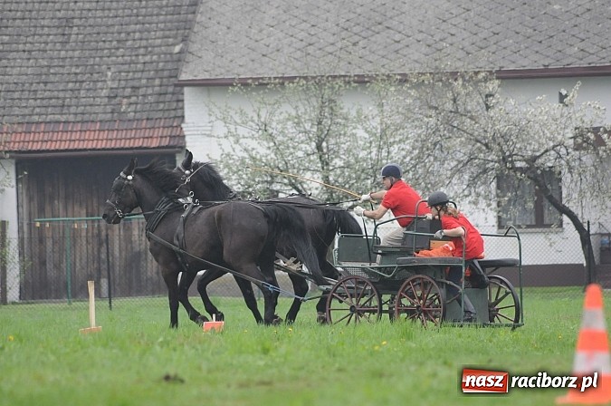 Zdjęcie w galerii na portalu naszraciborz.pl: W Nędzy odbyły się I Amatorskie Zawody Zaprzęgowe wiadomości z regionu