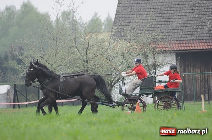 Zdjęcie w galerii na portalu naszraciborz.pl: W Nędzy odbyły się I Amatorskie Zawody Zaprzęgowe wiadomości z regionu