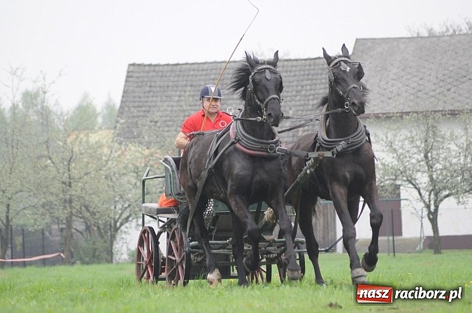 Zdjęcie w galerii na portalu naszraciborz.pl: W Nędzy odbyły się I Amatorskie Zawody Zaprzęgowe wiadomości z regionu