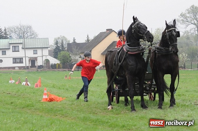 Zdjęcie w galerii na portalu naszraciborz.pl: W Nędzy odbyły się I Amatorskie Zawody Zaprzęgowe wiadomości z regionu