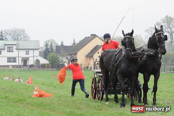 Zdjęcie w galerii na portalu naszraciborz.pl: W Nędzy odbyły się I Amatorskie Zawody Zaprzęgowe wiadomości z regionu