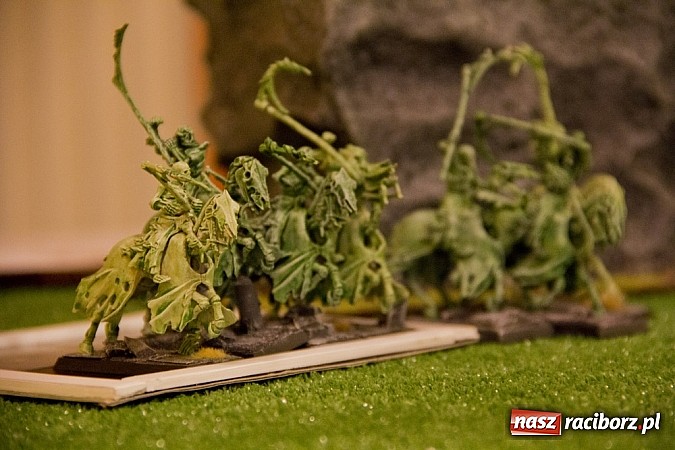 Zdjęcie w galerii na portalu naszraciborz.pl: RCK rozpoczął raciborską majówkę wiadomości z regionu