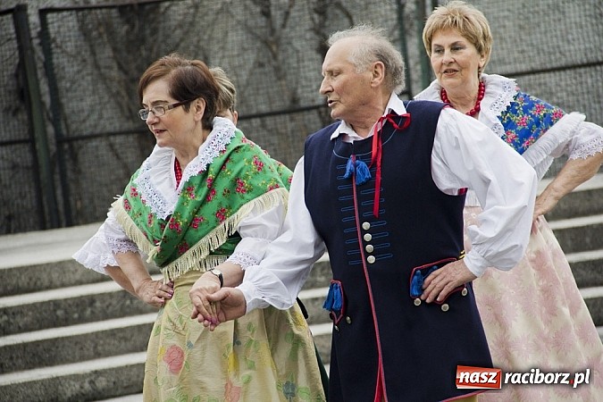 Zdjęcie w galerii na portalu naszraciborz.pl: RCK rozpoczął raciborską majówkę wiadomości z regionu