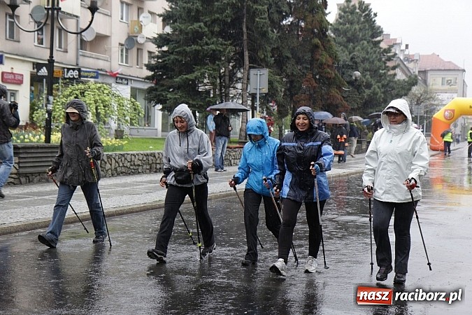 Zdjęcie w galerii na portalu naszraciborz.pl: Deszczowy i rekordowy Bieg bez granic wiadomości z regionu