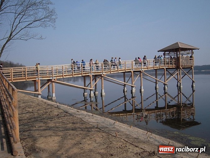 Zdjęcie w galerii na portalu naszraciborz.pl: Eduscience - dobry pomysł na promocję Raciborza wiadomości z regionu