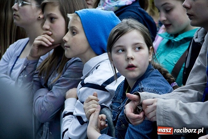Zdjęcie w galerii na portalu naszraciborz.pl: Majówka w Raciborzu z Gwiazdami! wiadomości z regionu